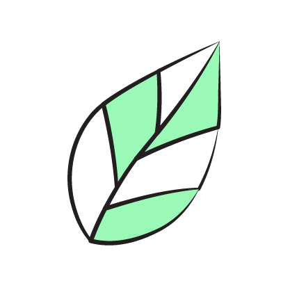 100% מרכיבים טבעיים​